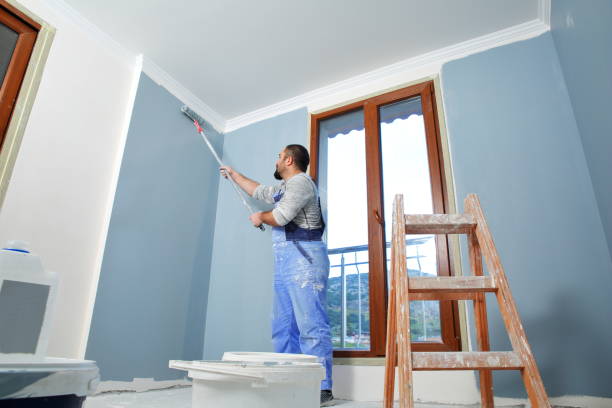 Best Fire-Damaged Drywall Repair  in Lyles, TN