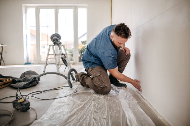 Best Drywall Sanding and Smoothing  in Lyles, TN